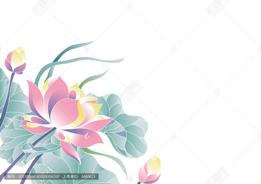 荷花