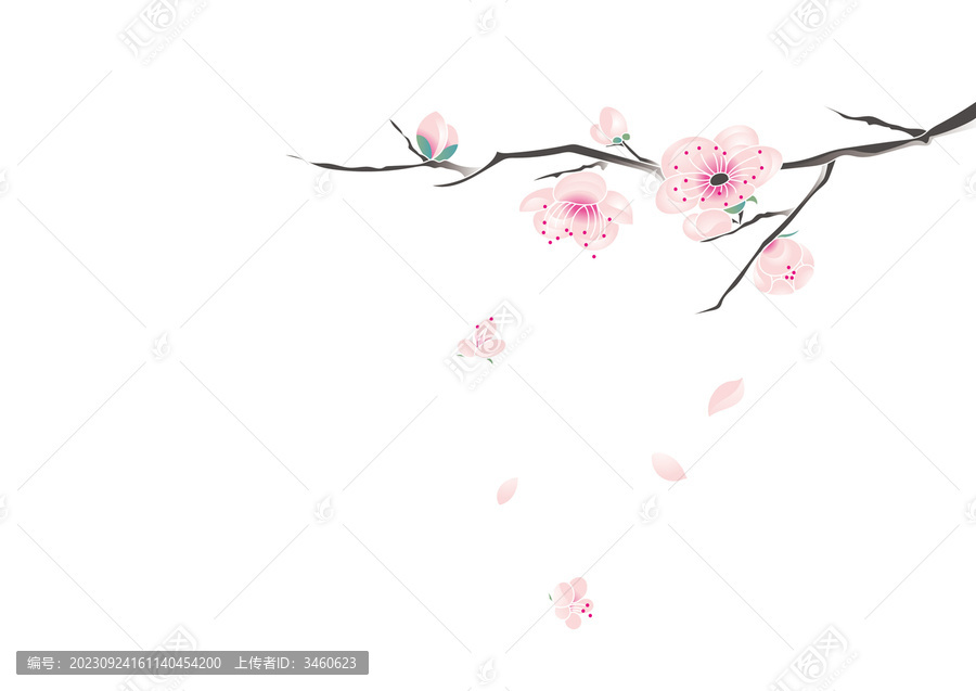 梅