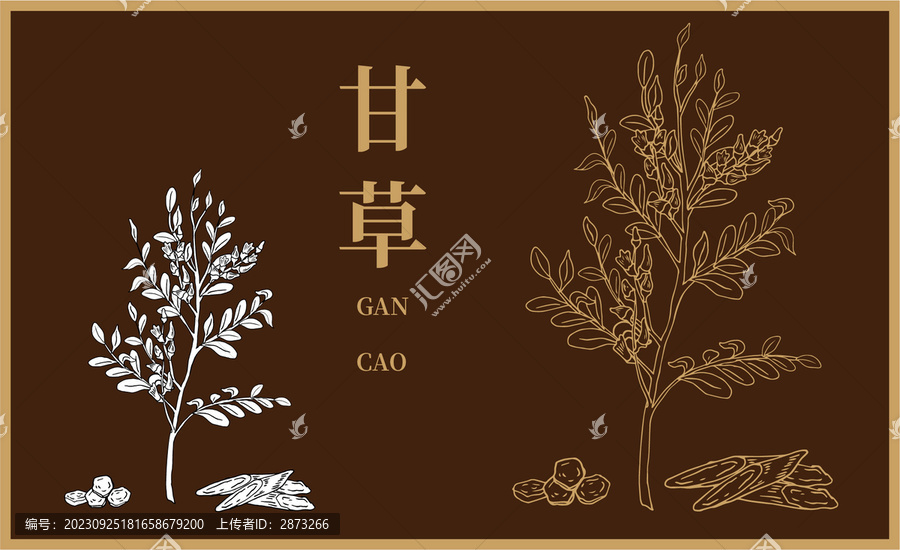 甘草插畫