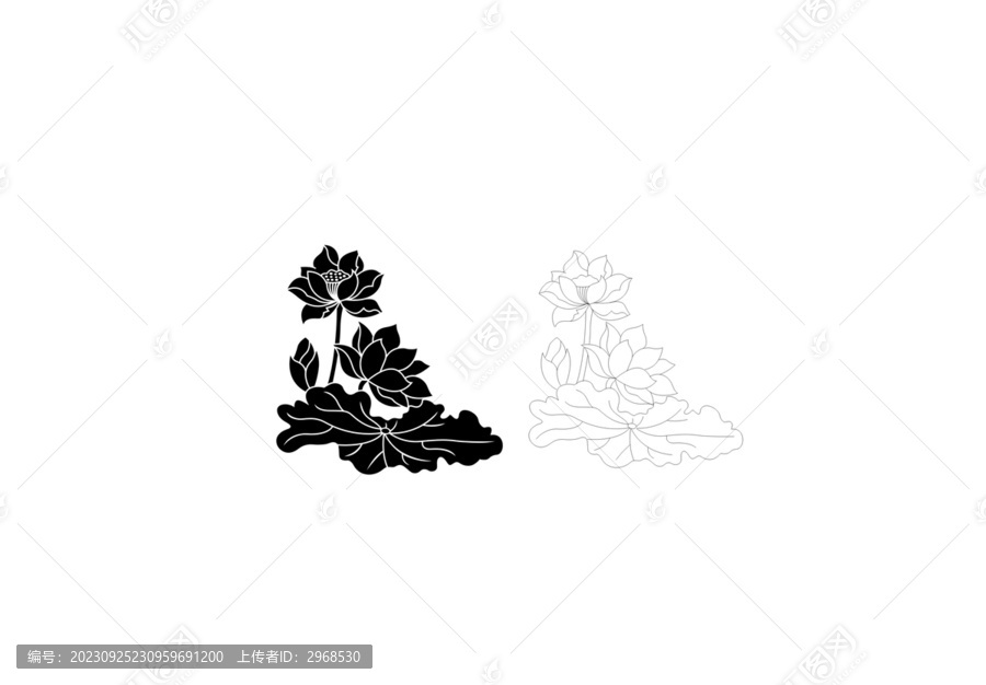 荷花