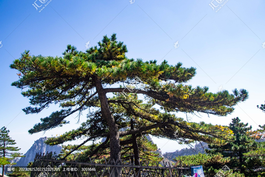 安徽黄山风景区