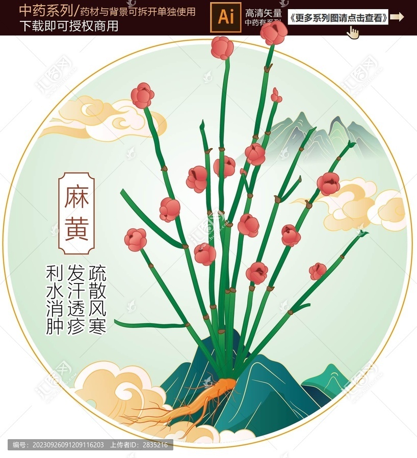 麻黃