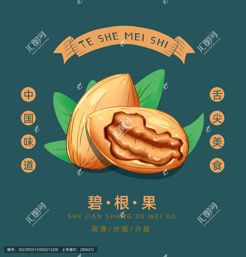 碧根果插畫