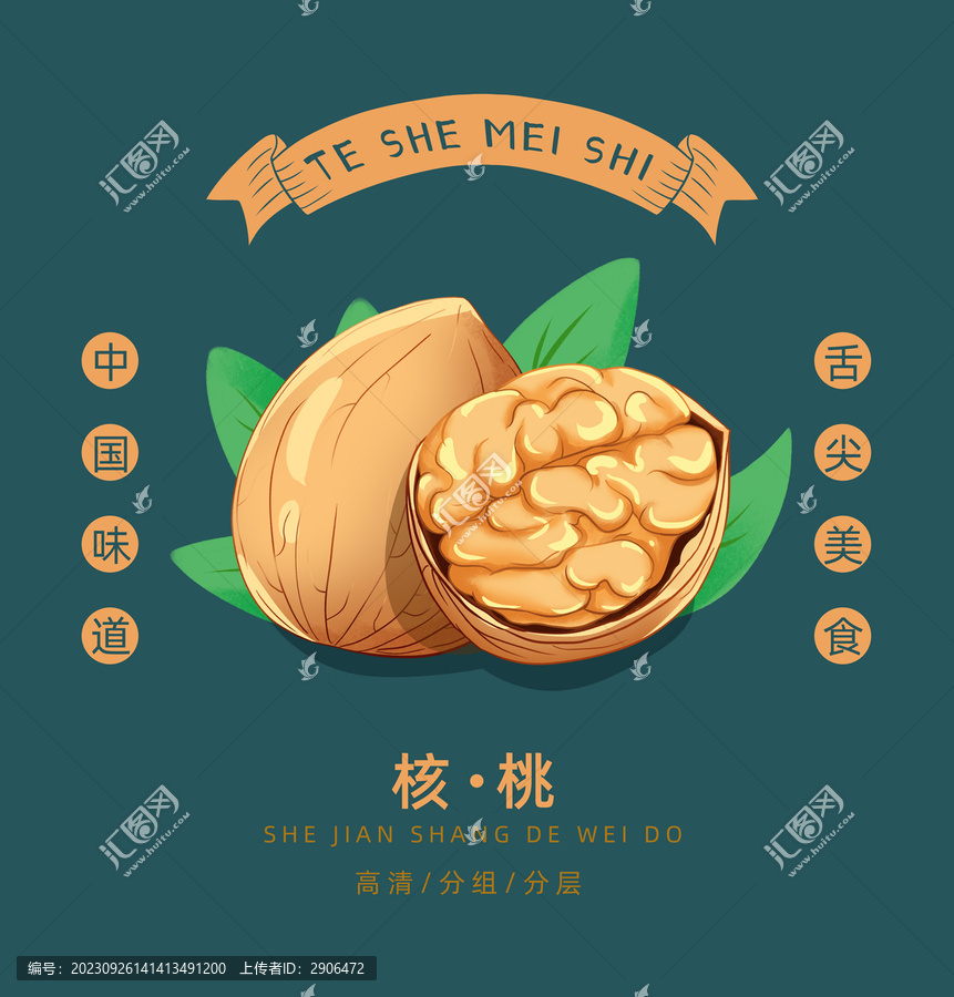 核桃插畫
