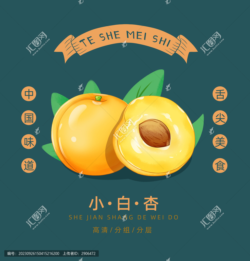 小白杏插畫(huà)