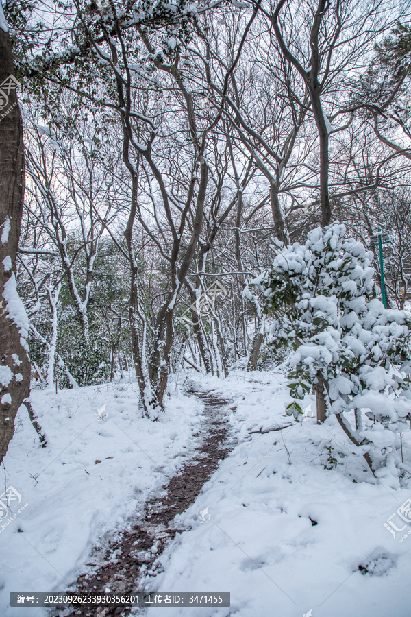 山林大雪