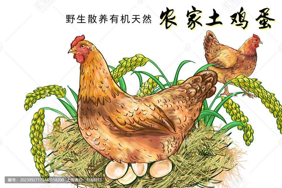 土雞蛋