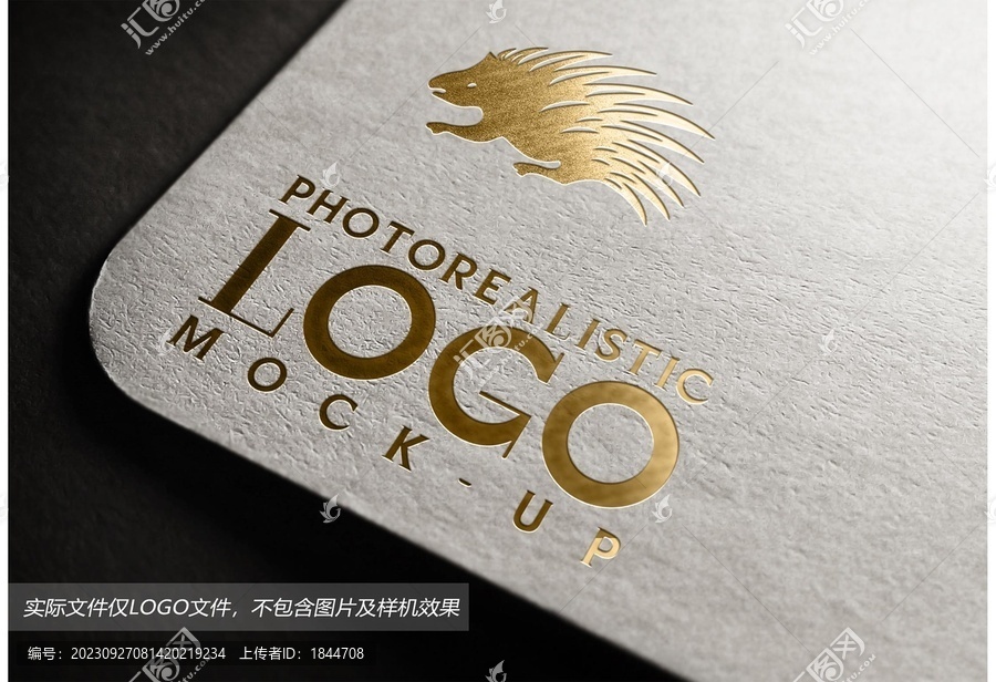 豪豬logo