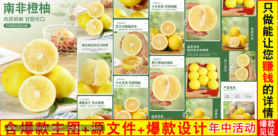南非橙柚詳情頁