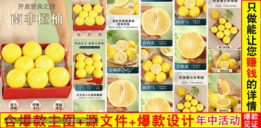 南非橙柚詳情