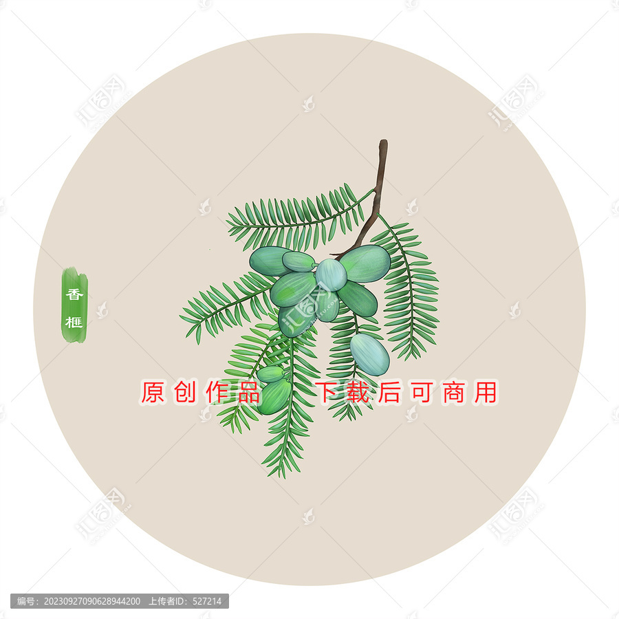 香榧