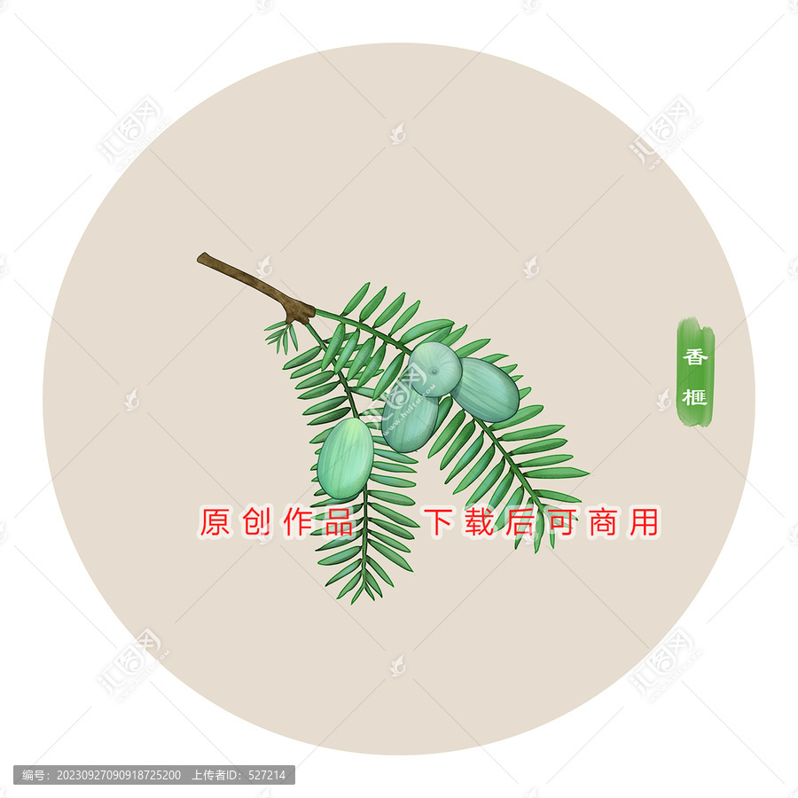 香榧