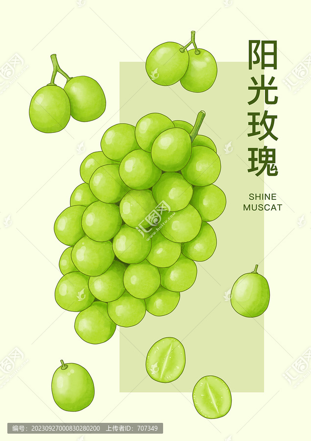 陽光玫瑰青提水彩插畫