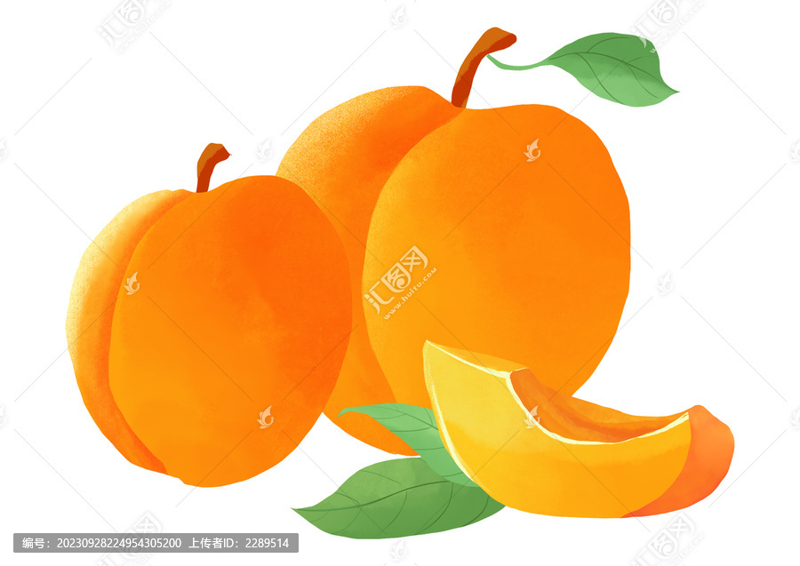 黃桃手繪插畫