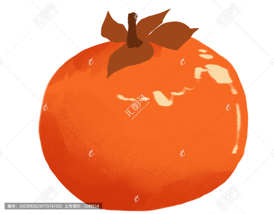 元素柿子手繪插畫