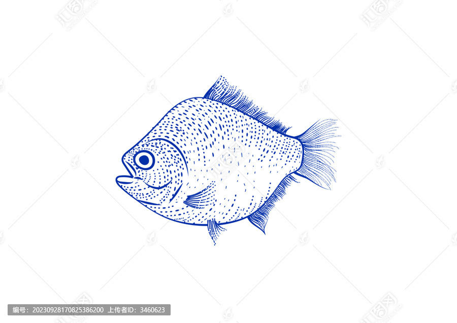 食人魚
