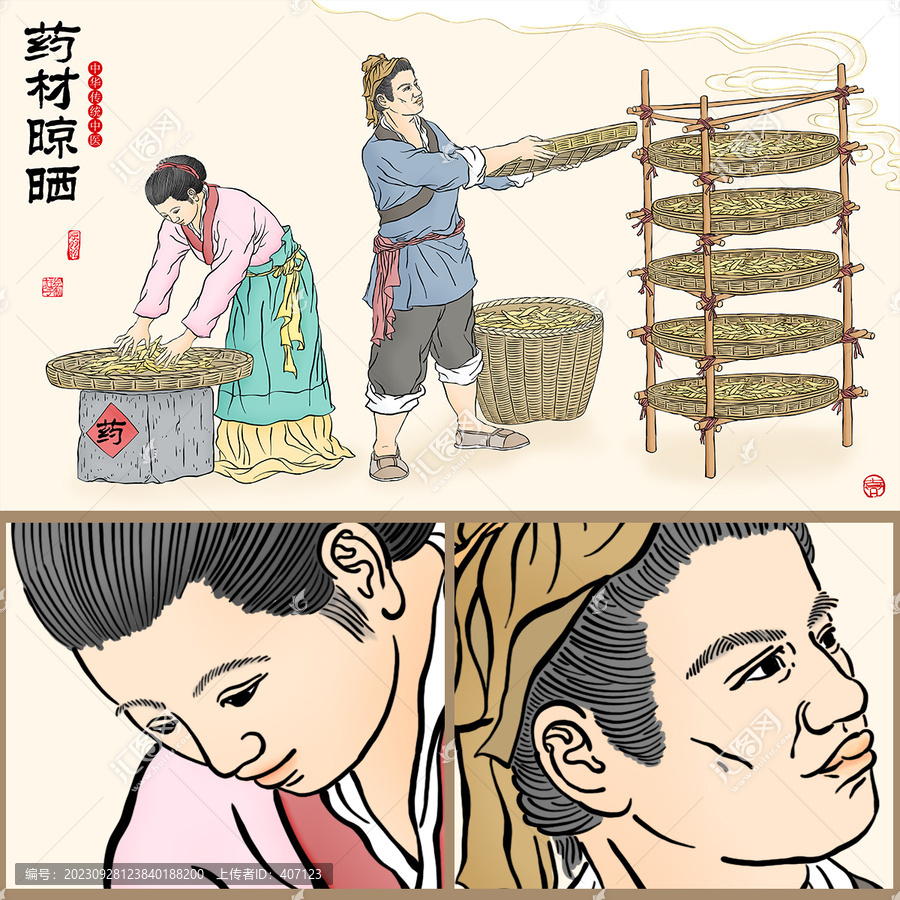 中醫(yī)藥材晾曬插畫(huà)