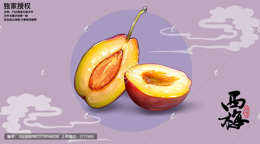 西梅插畫