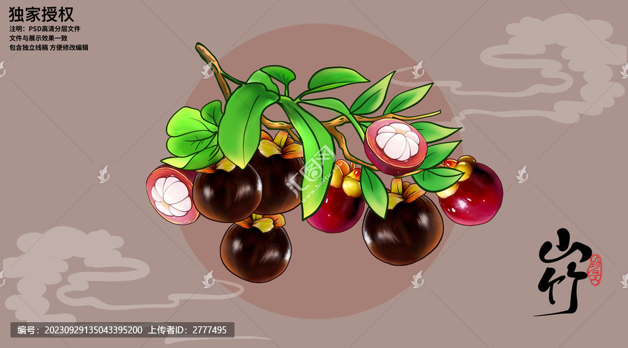 山竹包裝插畫