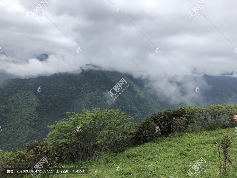 高山云雾