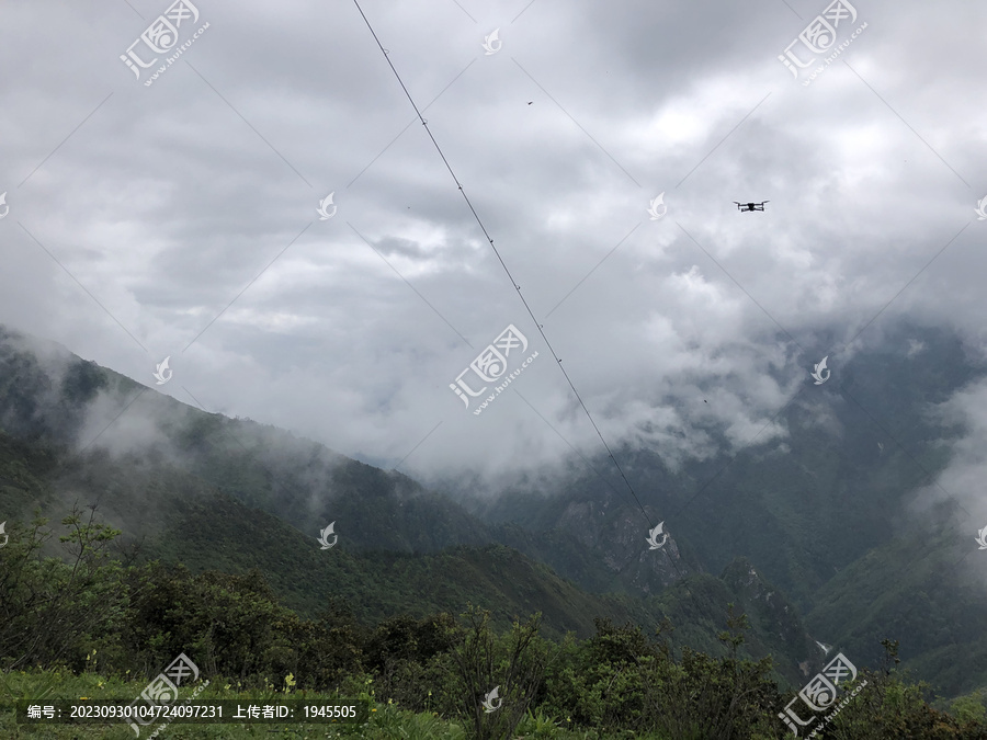 高山云雾