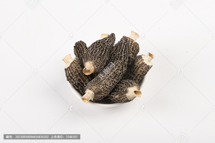 羊肚菌干貨白底圖