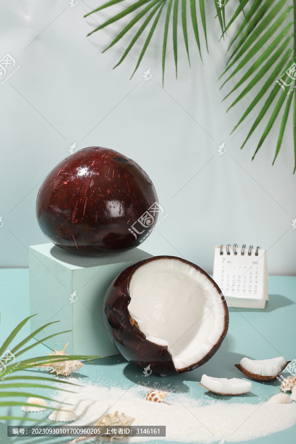 椰子油椰子