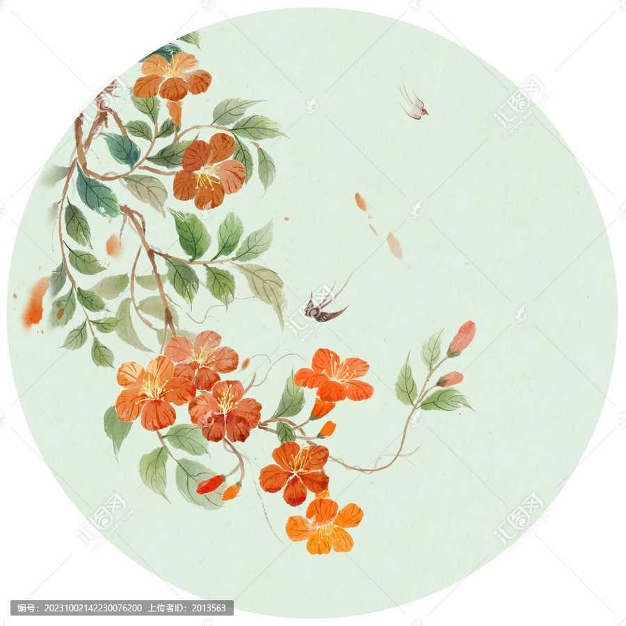 凌霄花插畫
