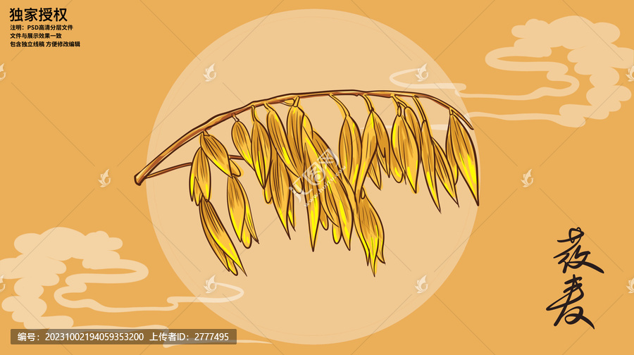莜麥