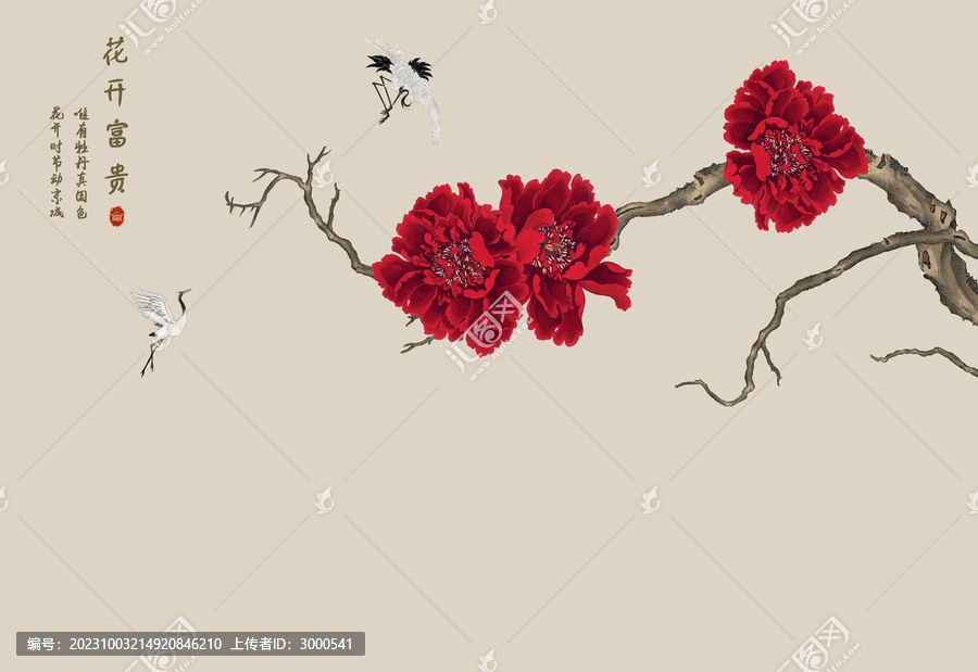 牡丹花背景