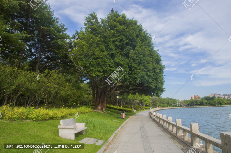 公园环湖步道风景