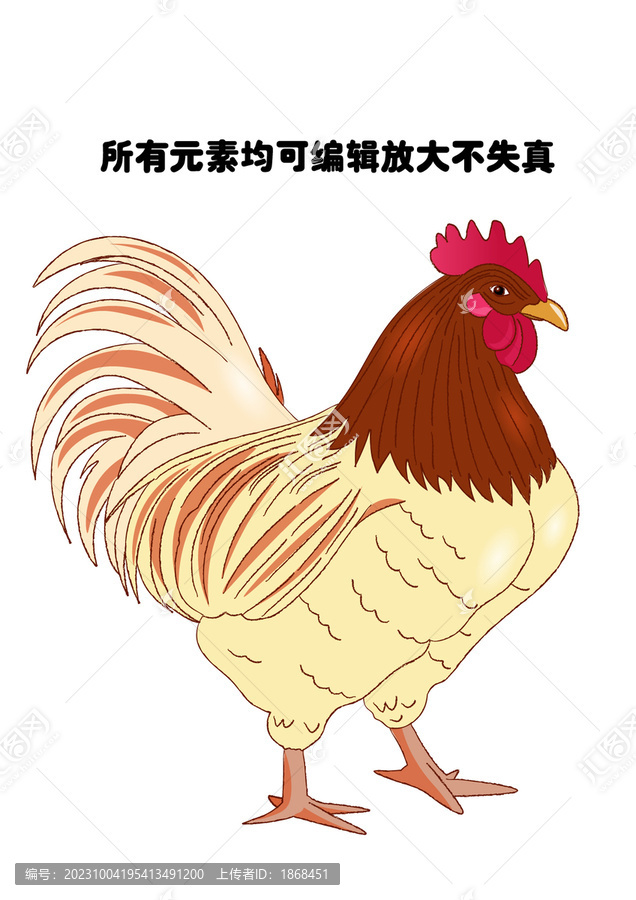 卡通母雞