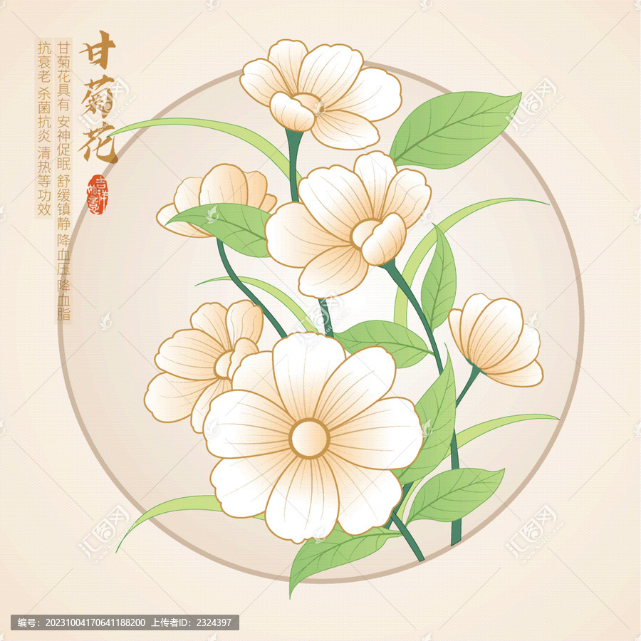 矢量菊花插畫