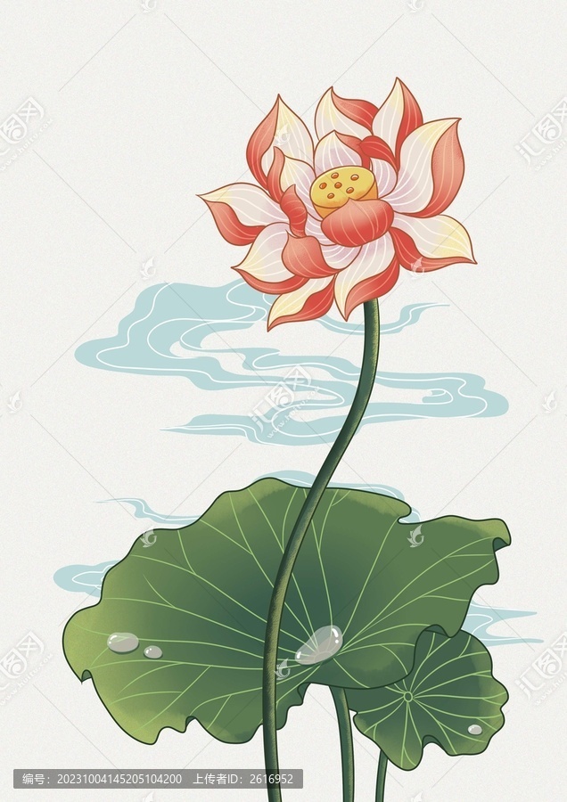 荷花好運蓮蓮
