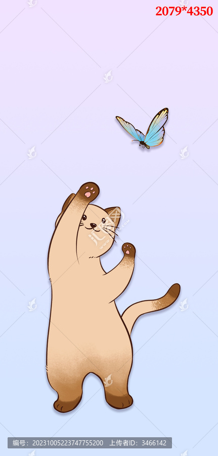 撲蝶貓貓
