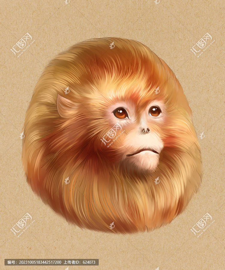 手繪金絲猴插圖素材PSD