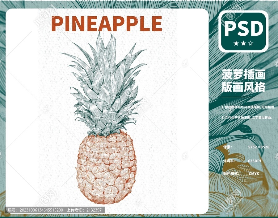 菠蘿