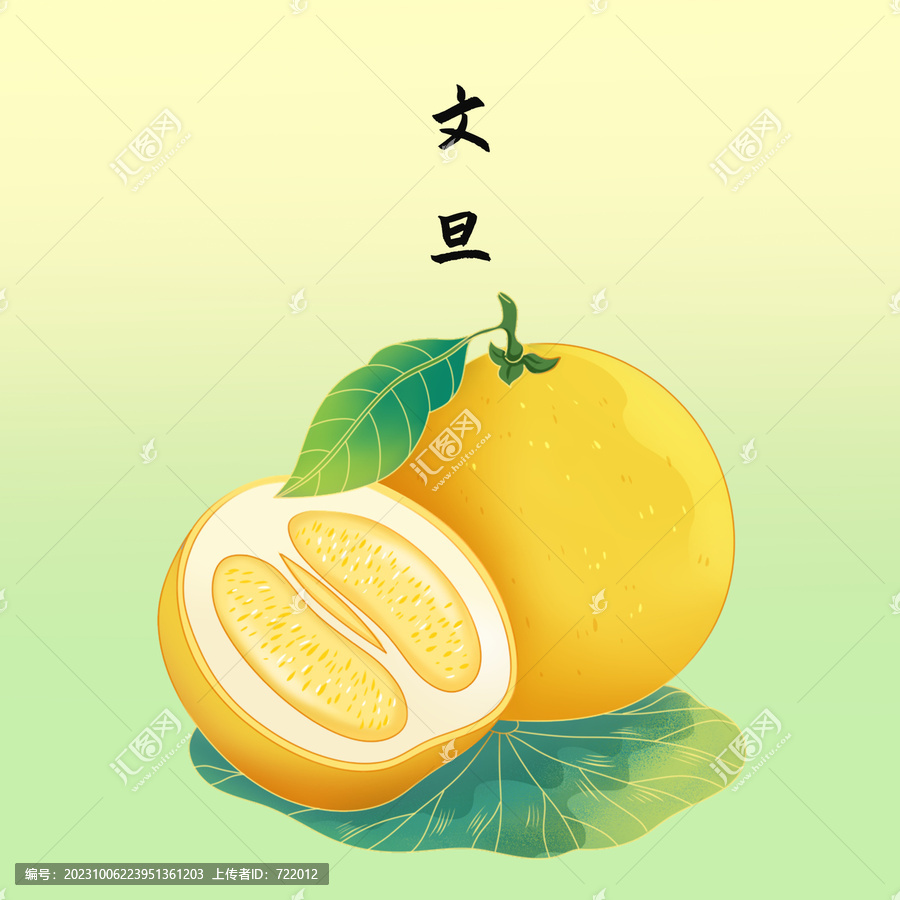文旦插畫