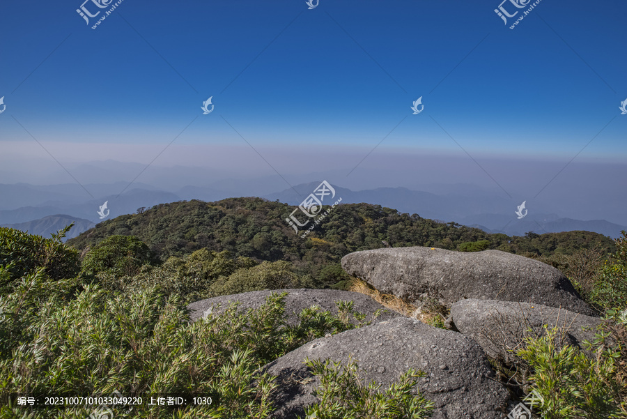 石头高山植被