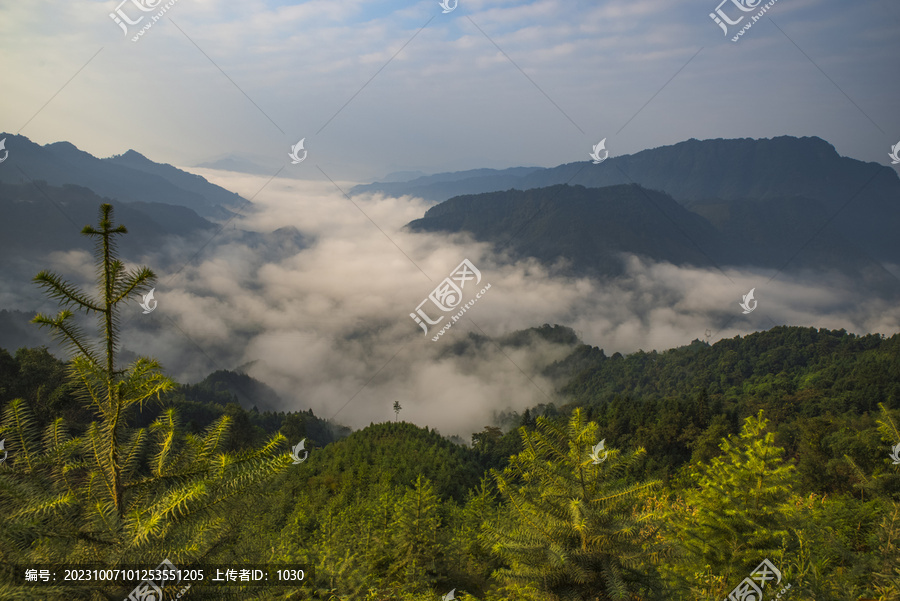 山林树林云雾山景