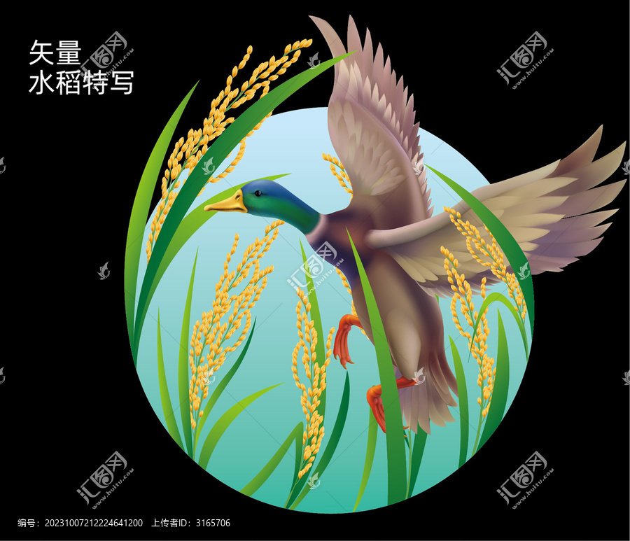 鴨田