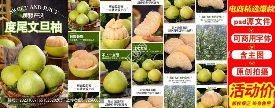 度尾文旦柚詳情頁