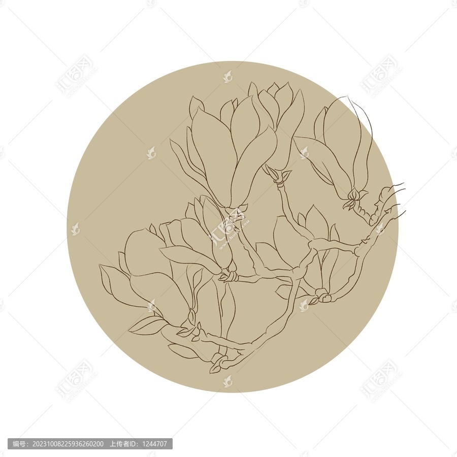 玉蘭花