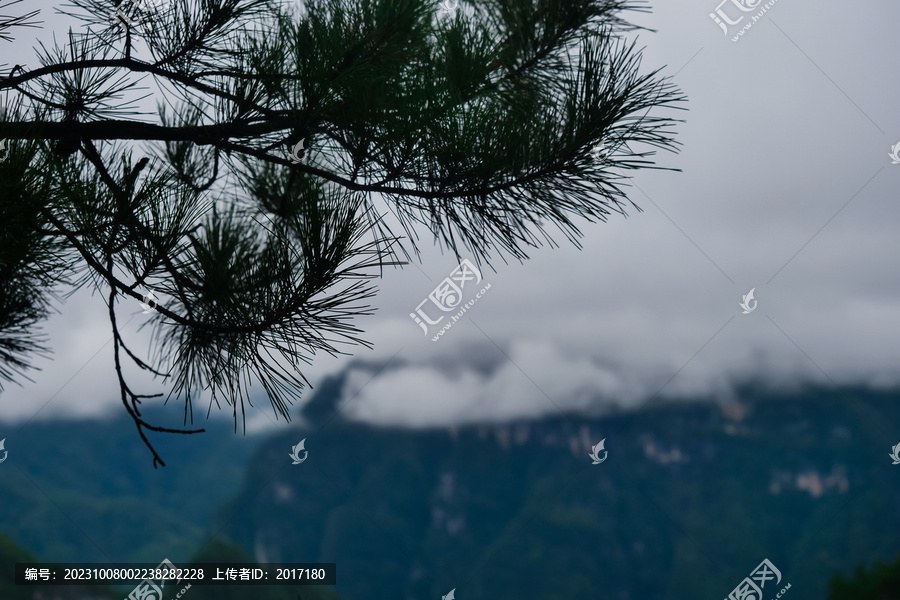 光雾山