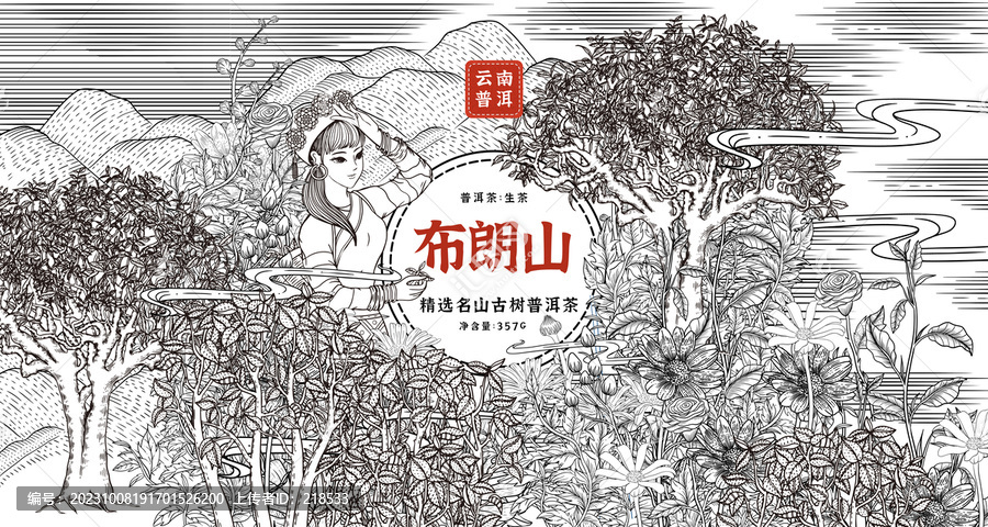 布朗山茶山云南普洱茶線描插畫