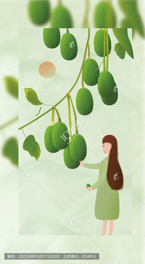 牛油果水果包裝