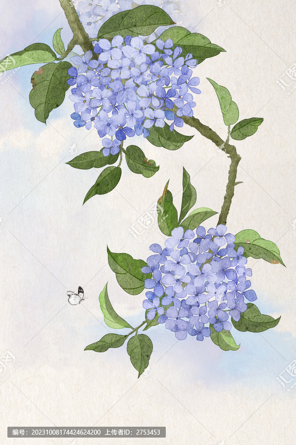 繡球