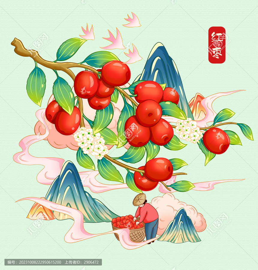 紅棗插畫手繪