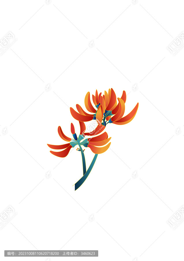 刺桐花兩朵