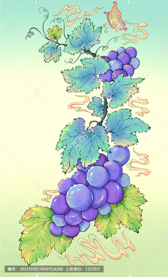 葡萄插畫